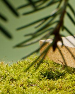 Der neue, innovative Holzschaum von Lignew ist da! 🌳
Im März hatten wir die Chance, das großartige Team von @lignew_eco zu begleiten – und einen exklusiven Blick hinter die Kulissen zu werfen. 🎬
👉 In einem kurzen Film zeigen wir, wie aus nachwachsenden Rohstoffen ein völlig neuartiger, nachhaltiger Holzschaum-Werkstoff entsteht – leicht, umweltfreundlich und voller Potenzial für die Zukunft! 🌍✨
🔗 Neugierig geworden? Schaut euch den ganzen Film auf der Website an: lignew.eco 🌱
Produktion: @az.media.gate
Regie/Kamera: @zoran.1207
Regieassistenz: @alwinterhalle
Kameraassistenz: @sarahelsbroek
Grafiken: @jana.witt
Oberbeleuchter: @felix.schuster
Beleuchter: @mitmaggischmecktdasleben
#Nachhaltigkeit #Innovation #Holzschaum #GreenTech #Lignew #ZukunftGestalten